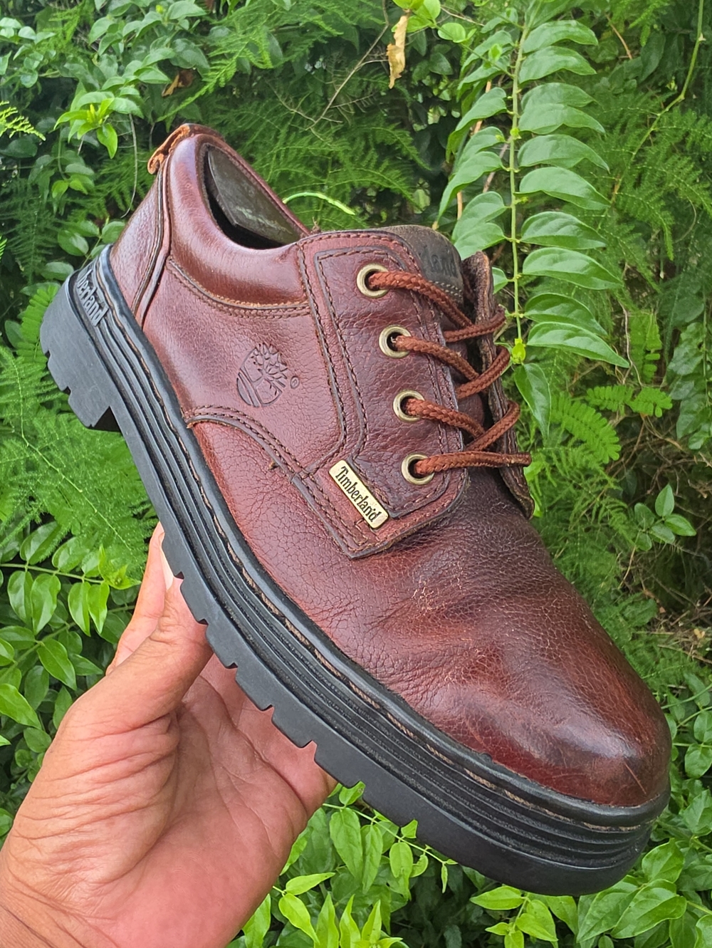 Timberland Bradstreet Oxford Leather Brown Lace-Up Shoes # 63053